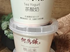 -大鸭梨烤鸭(房山店)