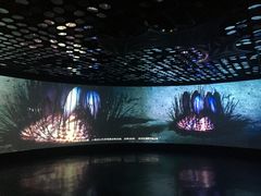 -同济大学四平路校区深海探索馆