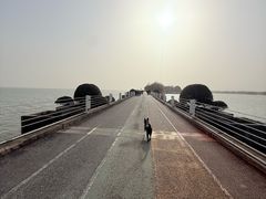 -贡湖湾湿地公园