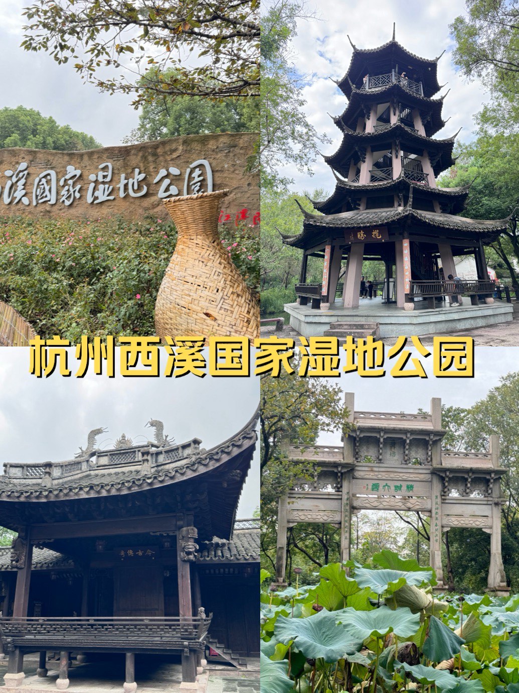 西溪湿地公园游玩攻略图片