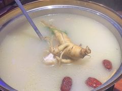 -千岛蚝高压锅生蚝·人参火锅(白云万达店)