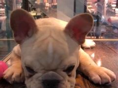 -乐宠宠物店(世纪金源店)