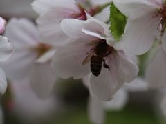 -西北湖绿化广场