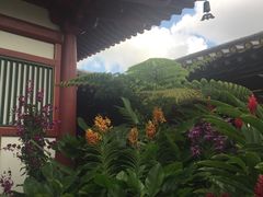 -新加坡佛牙寺龙华院