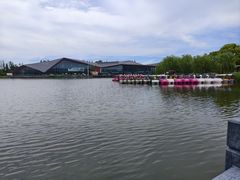 -上海长兴岛郊野公园
