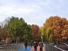 -裕华世纪公园