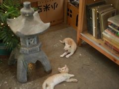 -行人小筑·茶馆(岑村火炉山分店)