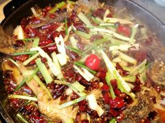 -老板恋上鱼(恒隆广场店)