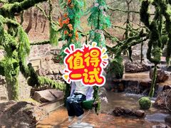 -山叶口景区
