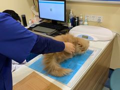 -萌兽医馆·犬猫专科·眼科中心·宠物医院(朝阳门分院)
