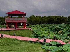 -嘉北郊野公园