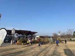 -上海长兴岛郊野公园