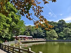 -广州市帽峰山景区