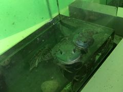 -中国湿地博物馆