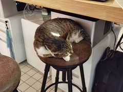 -ID.PHOTO照相馆(嘉里企业中心店)