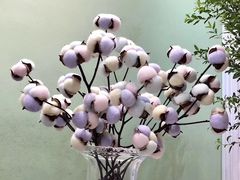 -花未央花店·WEYOUNG