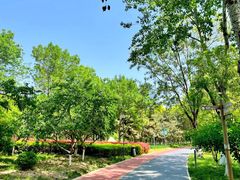 -大兴滨河森林公园