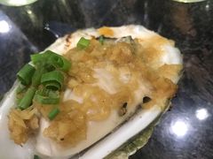 -蚝专家