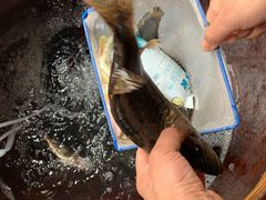 -怀化名堂(正清路店)