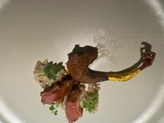 -觀芷隐轩