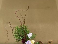 -帝京日语(春熙路旗舰校区)