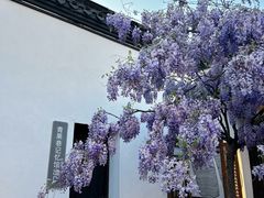 -青果巷历史文化街区