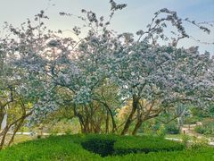 -国家植物园南园