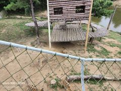 -西霞口神雕山野生动物世界