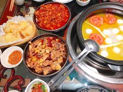 -志晖园圆子鸡·辣子鸡(阳光店)
