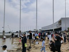 -碧海金沙