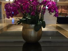 大堂-索菲特酒店·海鲜自助 ·聚餐厅