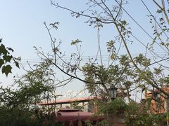 -森居forest休闲咖啡聚集地