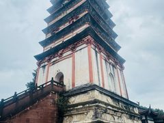 -胡世羊肉汤(南街店)