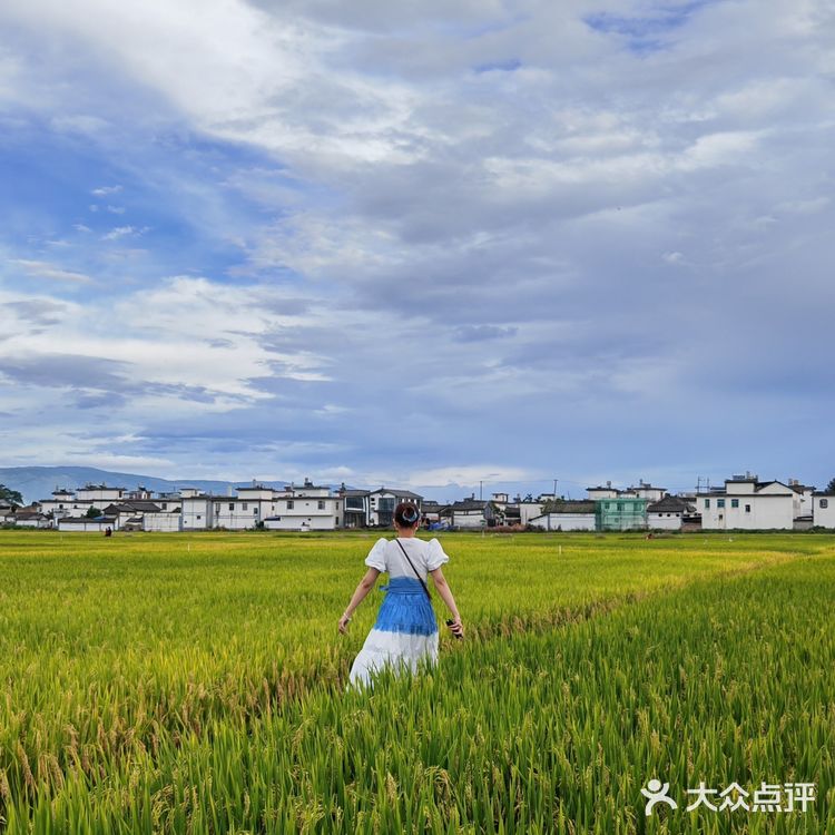 大理环洱海自驾露营攻略✅遇见不一样的苍山洱海