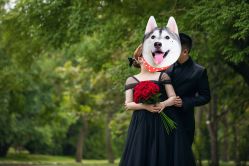 -保定巴黎婚纱摄影