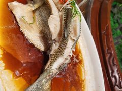 -普天和酒楼·新津菜·烤鸭(天津之眼店)