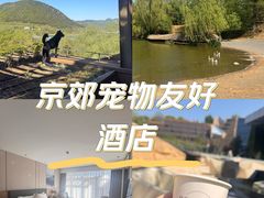 -北京中信金陵酒店