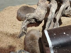 -正佳雨林生态植物园