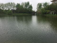 -溱湖国家湿地公园