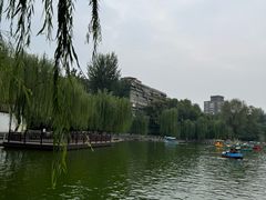 -莲湖公园