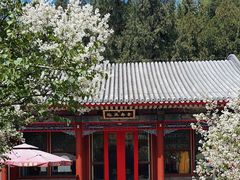 -宫事颐庭·老佛爷贵寿下午茶(颐和园店)