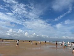 -日照海滨国家森林公园