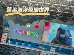 -蓬莱欧乐堡海洋极地世界