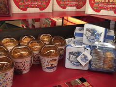 -奇华饼家(香港国际机场T1店)