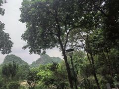 -英德宝晶宫天鹅湖茶语温泉