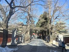 -少林寺欢喜地素斋馆