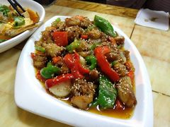 -煲来饱去冷水鱼