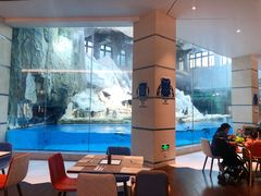 -帝企鹅自助餐厅•儿童岛•真企鹅(长隆企鹅酒店)