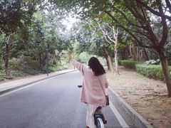 -东莞植物园