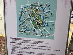-嘉定紫藤园